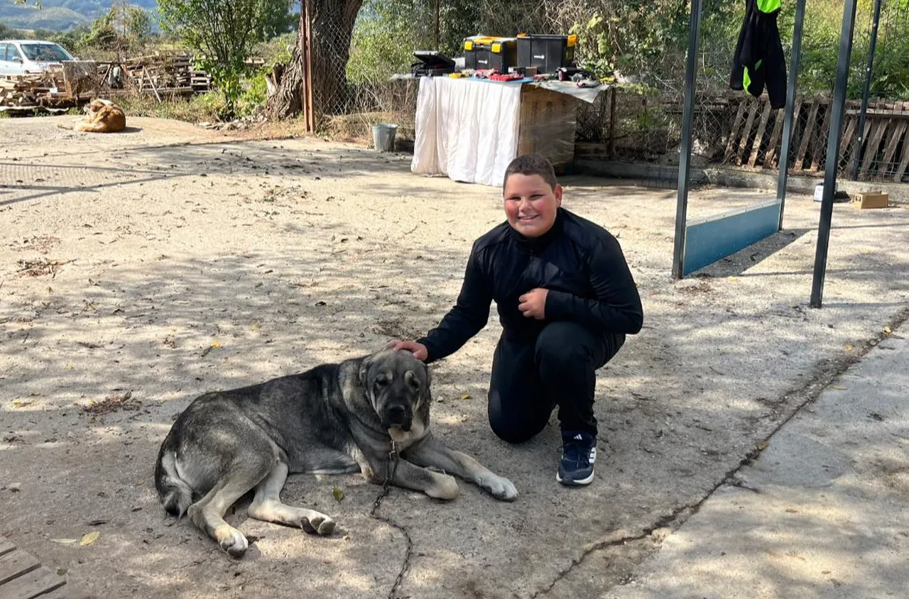 Деца от Младежкия център в Гоце Делчев посетиха приют за животни