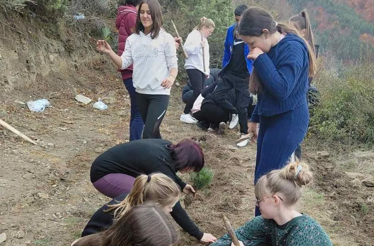 Сто бели бора - жива памет за юбилея на училището в Горно Дряново