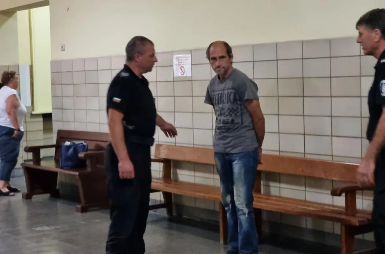 Задържаният за пожара в ямболския парк "Боровец" призна вина -"палил за кеф"