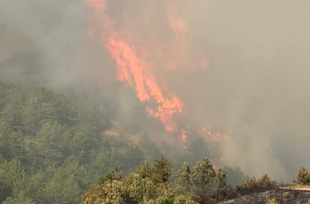 Над 100 декара е обхванал пожарът в Рила