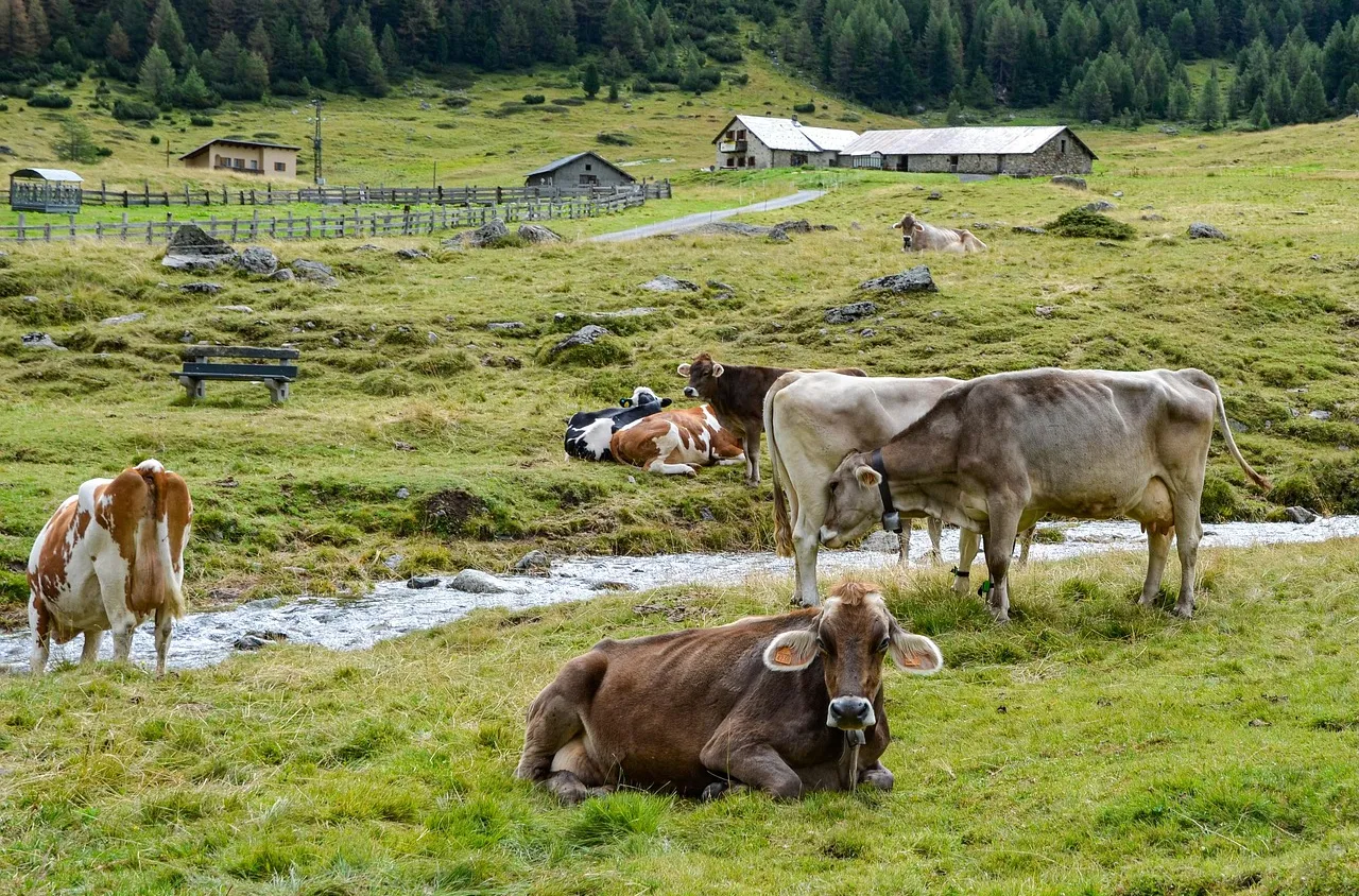 Убийство във ферма край Перник