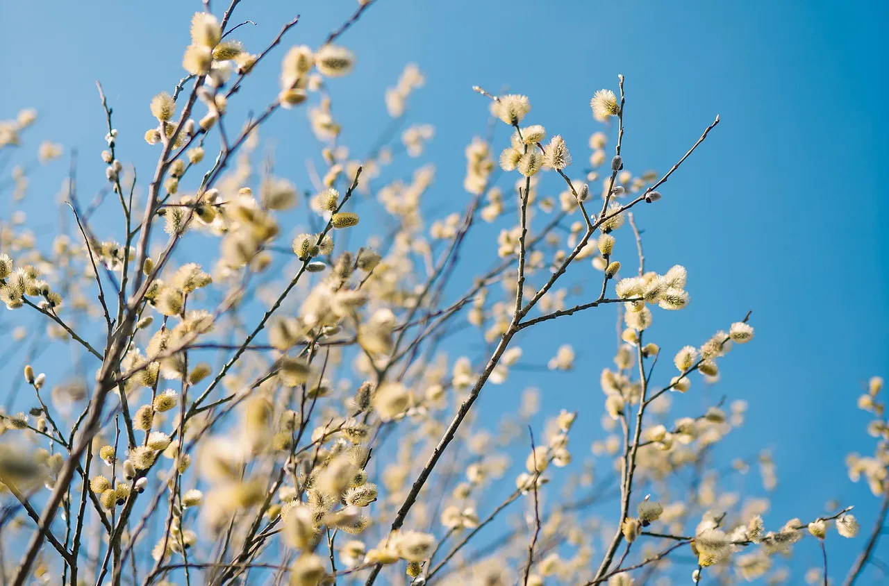 Времето на 29 август 2025 г.