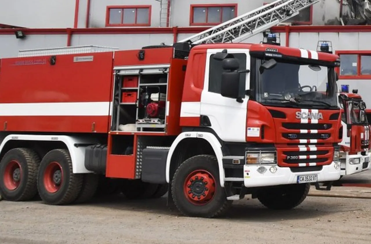 Пожарът в Пирин отново е активен