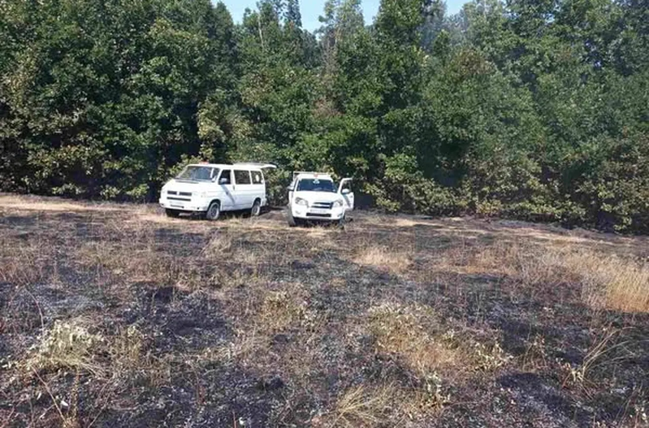 Пожарът в Пирин не стихва