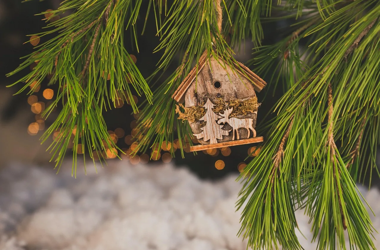 Община Сандански публикува празничната си програма от 8 до 14 декември