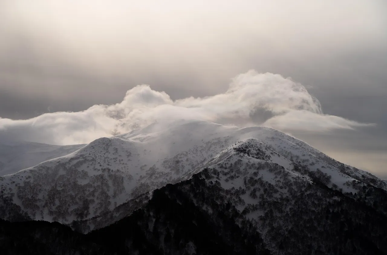 Времето на 20 ноември 2025 г.