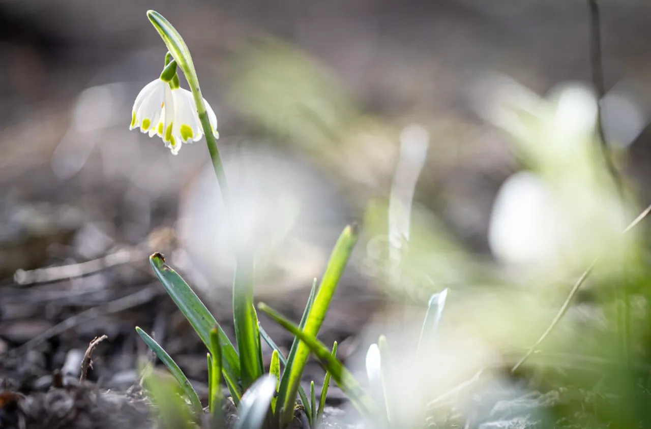 Времето на 13 март 2026 г.