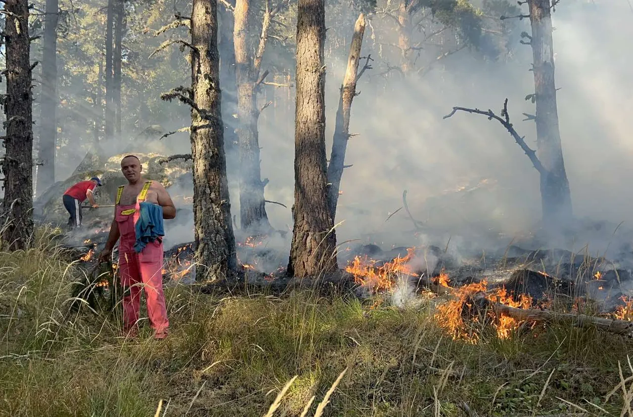 Пожар гори край с. Горно Осеново (СНИМКИ)