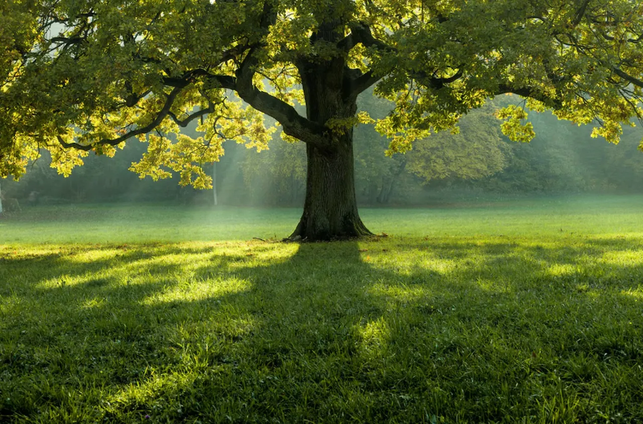 Времето на 12 октомври 2025 г.