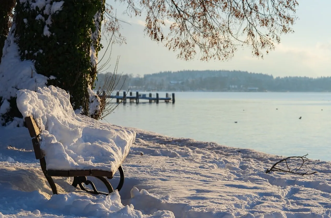 Ефективни начини за справяне със студа