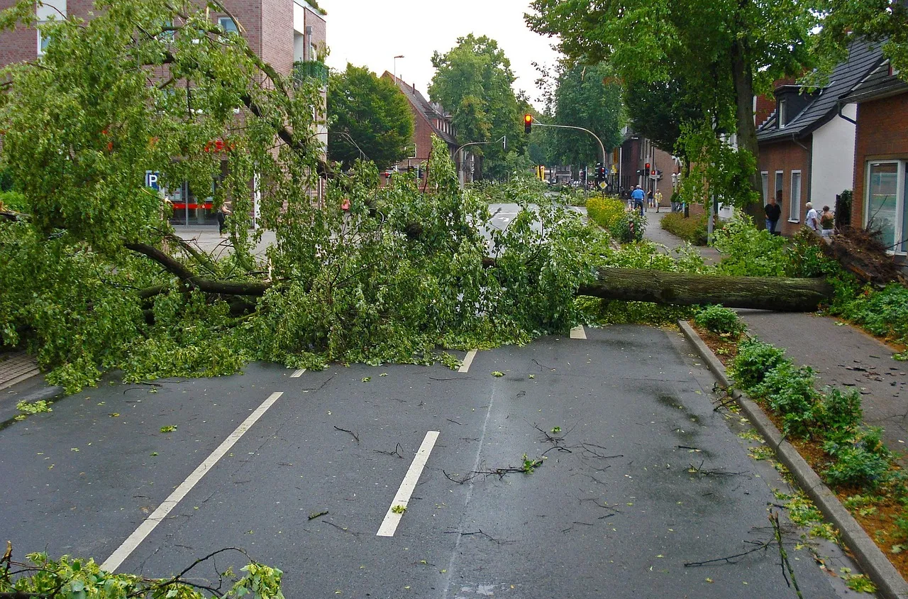 Над 300 хил. души останаха без електричество в Австралия