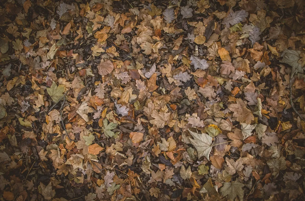 Администрацията в Гоце Делчев с насоки за изхвърлянето на растителния отпадък