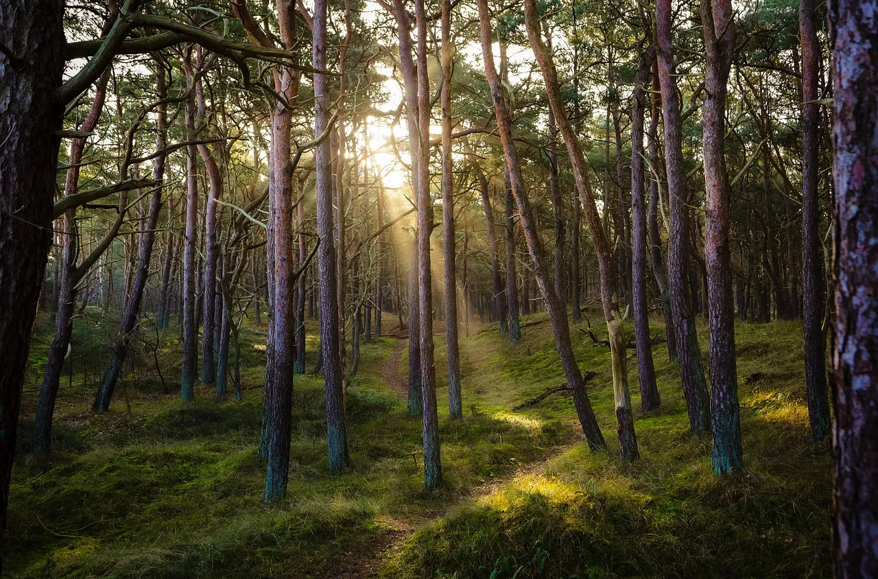 СЗДП отбелязва Деня на будителите с образователни инициативи сред природата