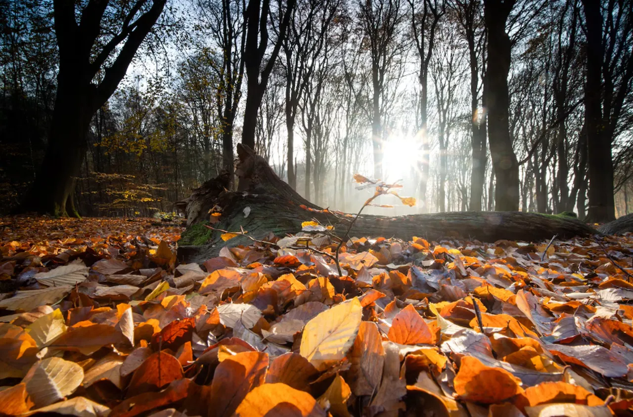 Времето на 24 октомври