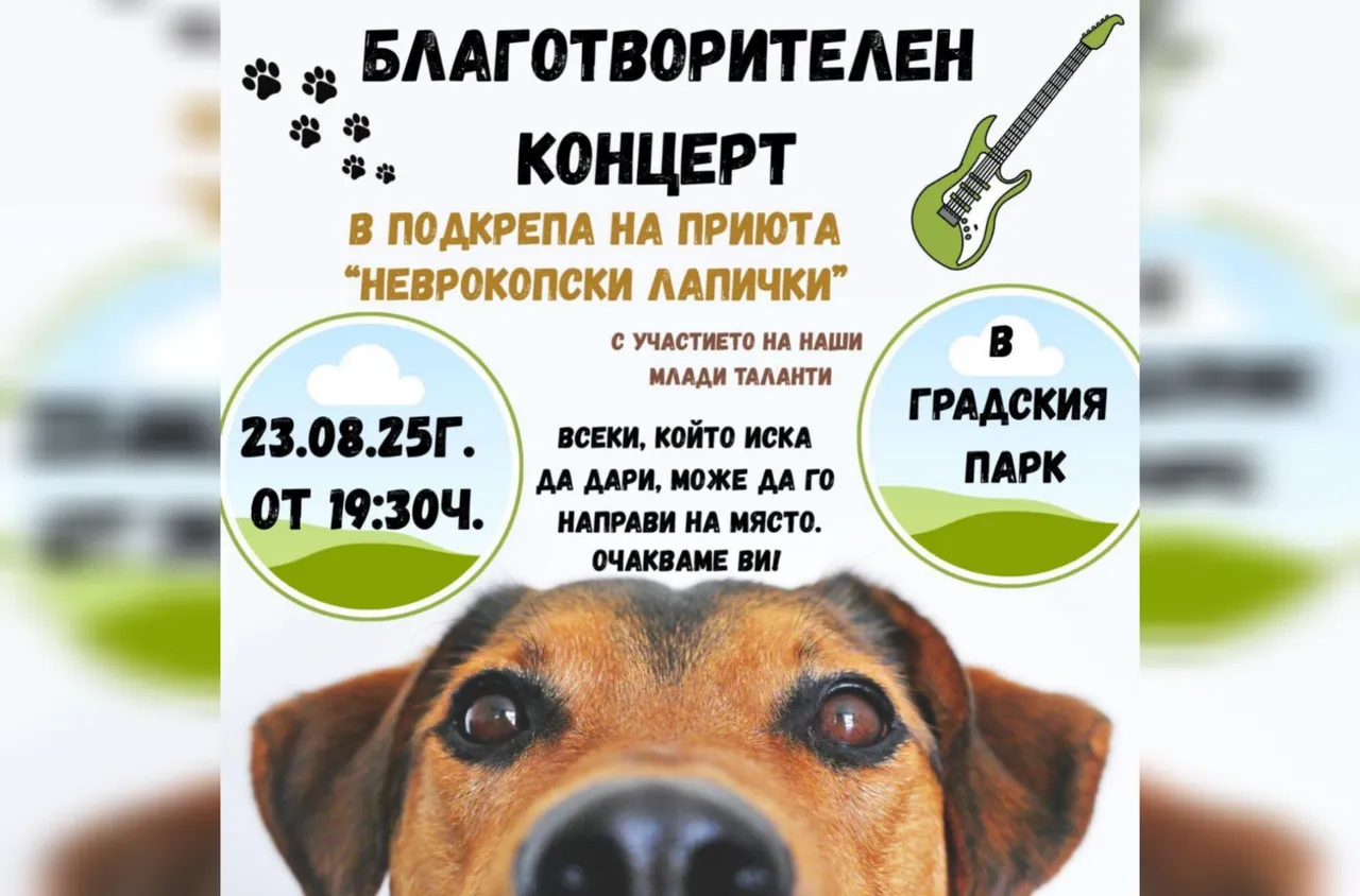 Благотворителен концерт в Хаджидимово събира средства за бездомни животни