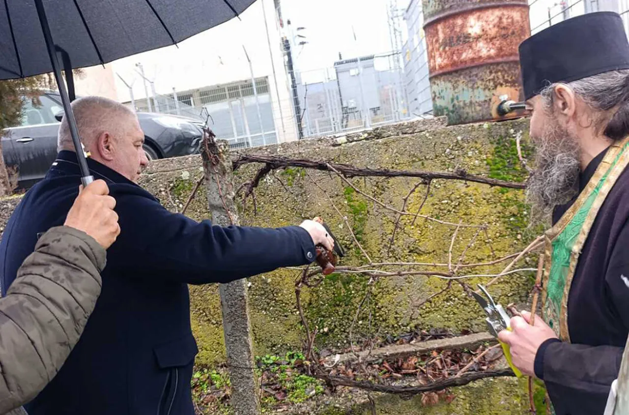 С награди за най-добрите лозари Кресна отбеляза Трифон Зарезан