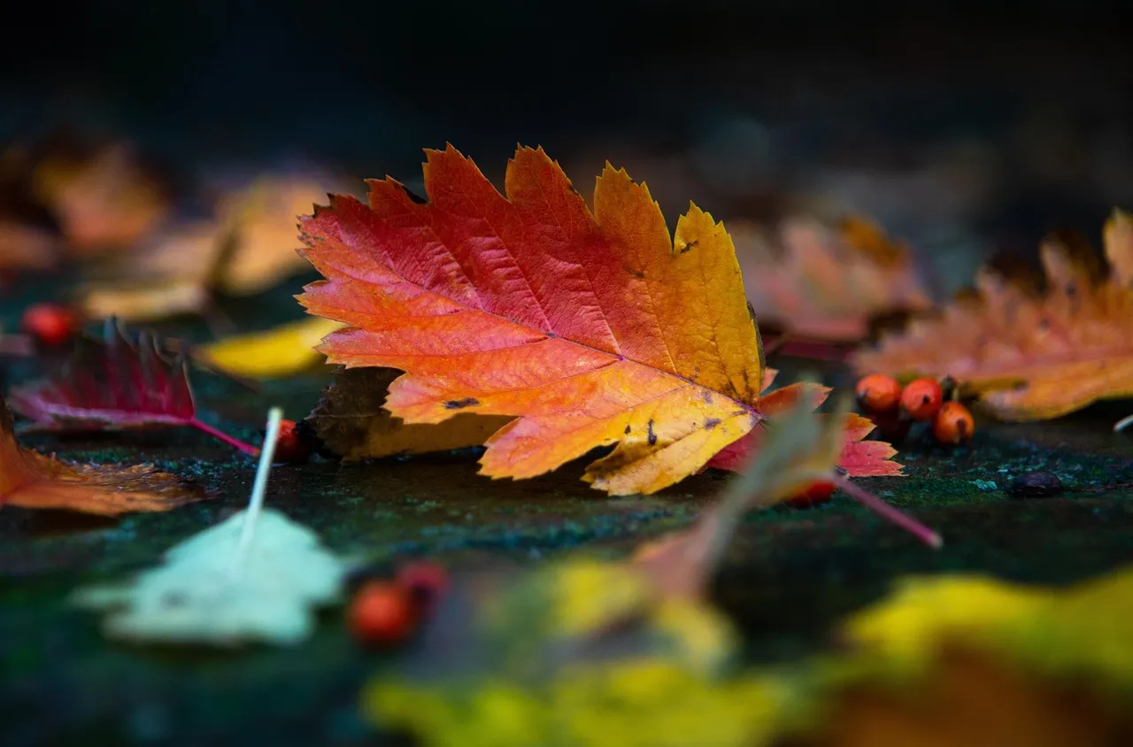 Октомври 2025 в България: Най-ниски температури и рекордни дъждове