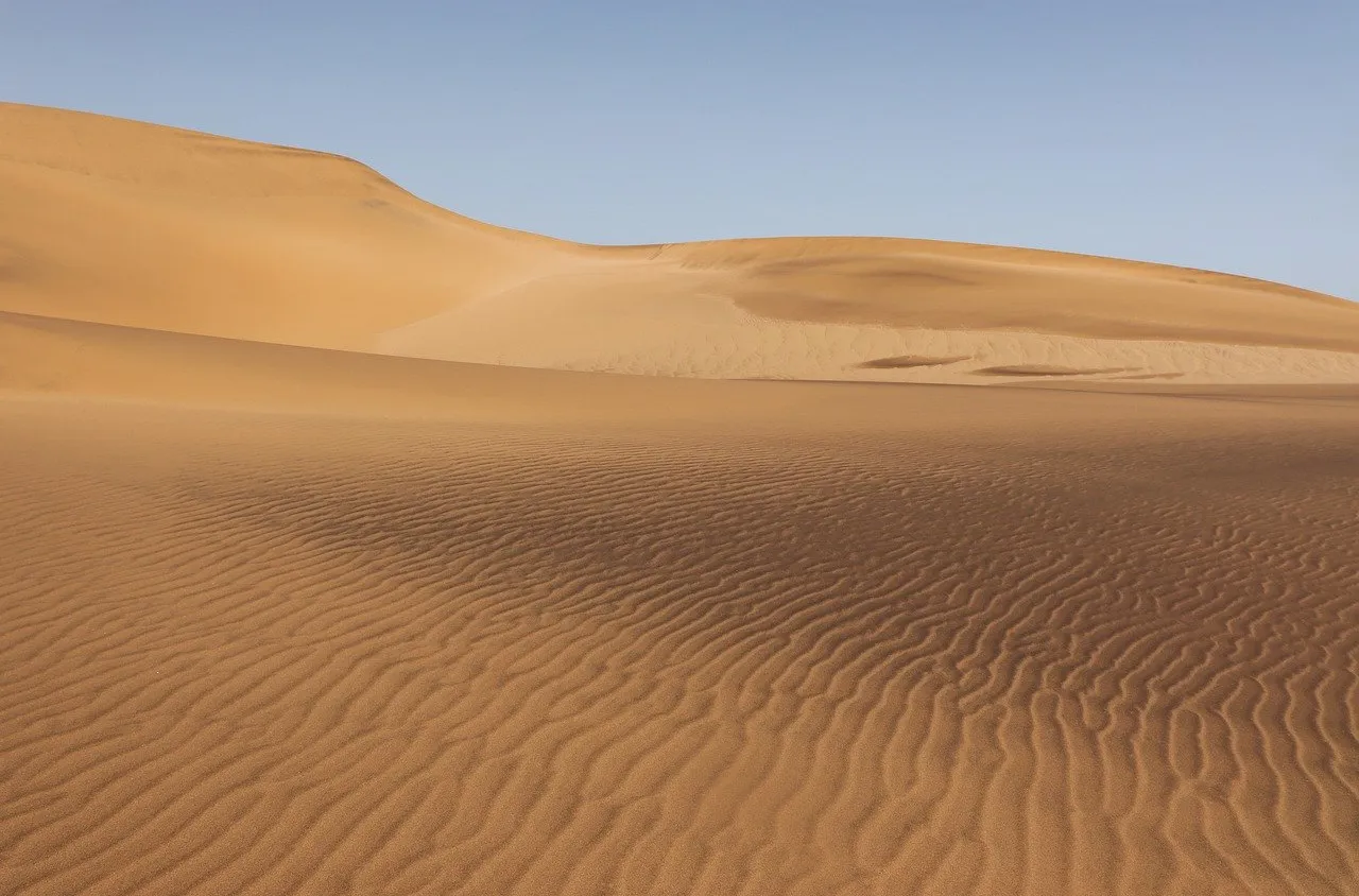 Мистериозни кръгове се появиха в пустинята Намиб