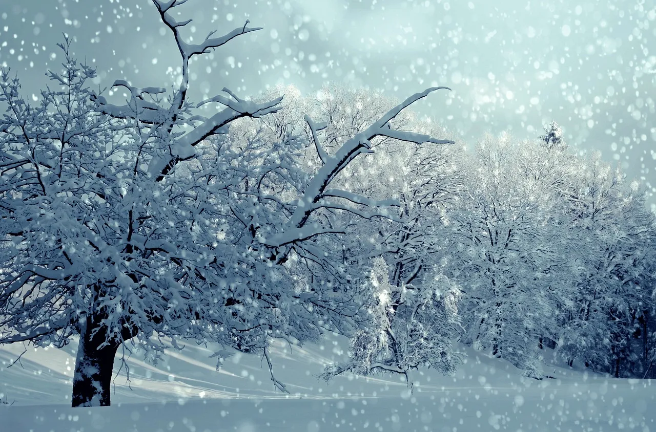 Рекордни снеговалежи в Япония