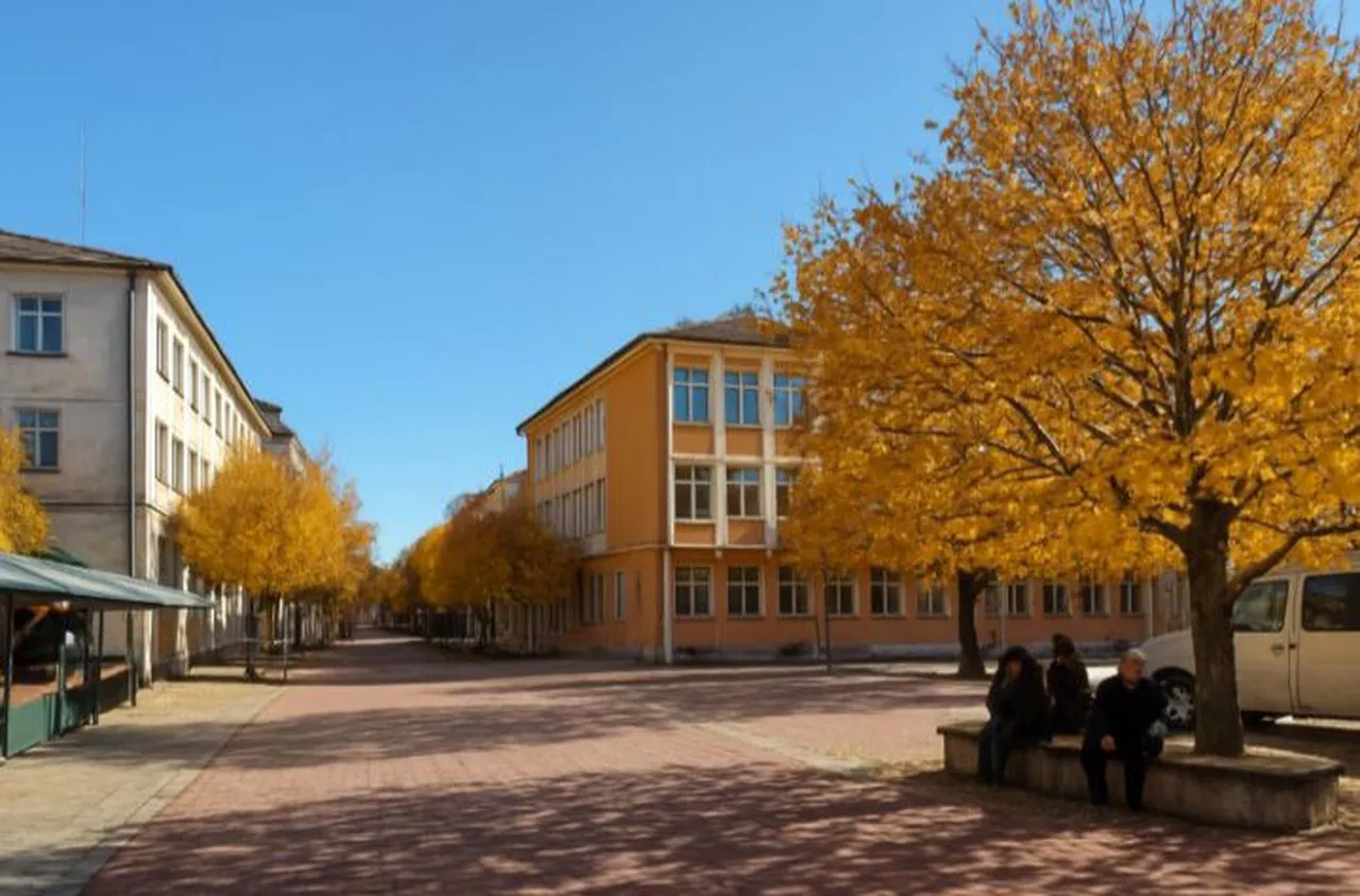 Граждани внесоха подписка в ОбС-Смолян за премахване на опасни дървета по бул.“България“