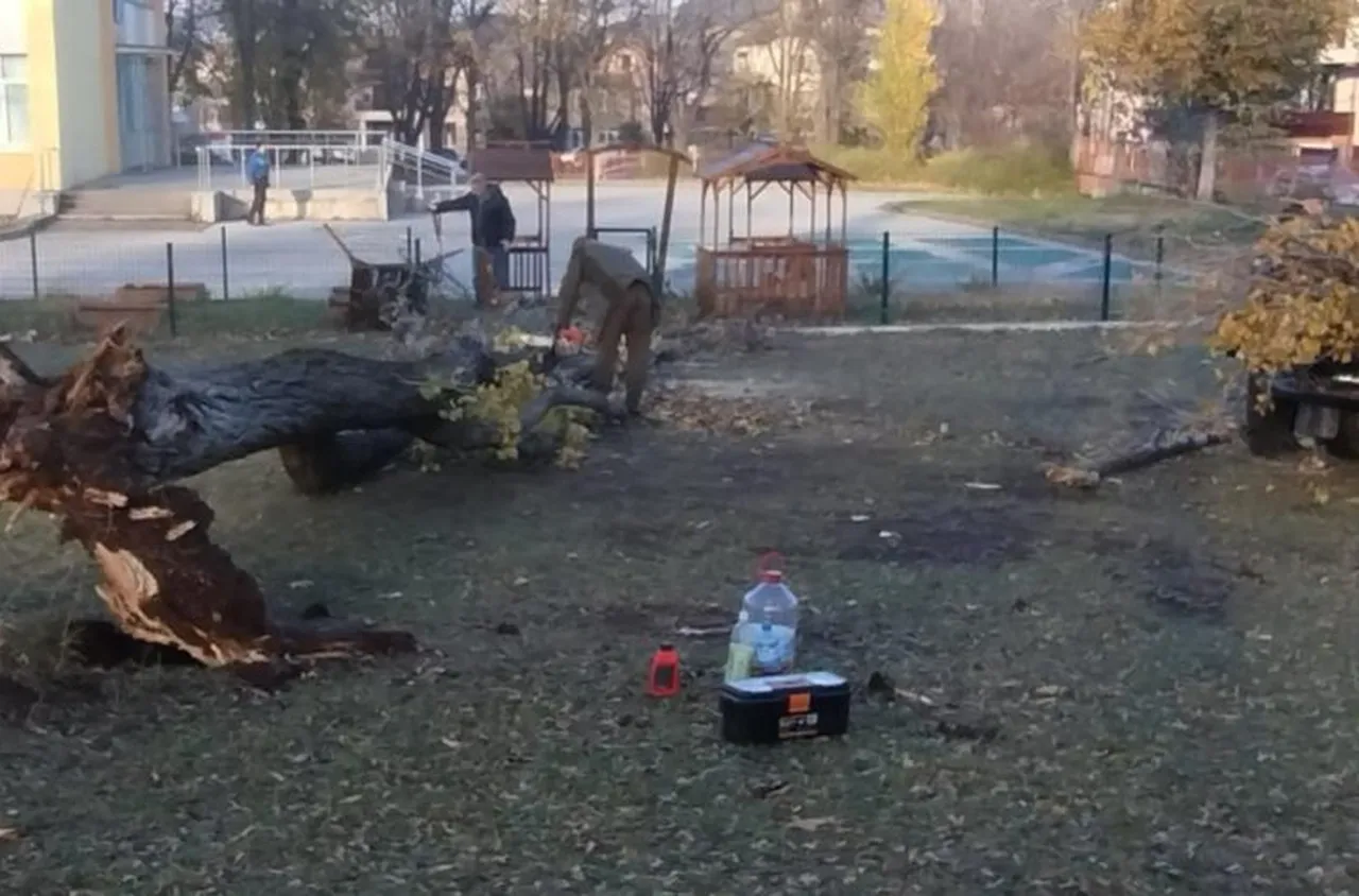 Горски служители от Враца помогнаха на БКС