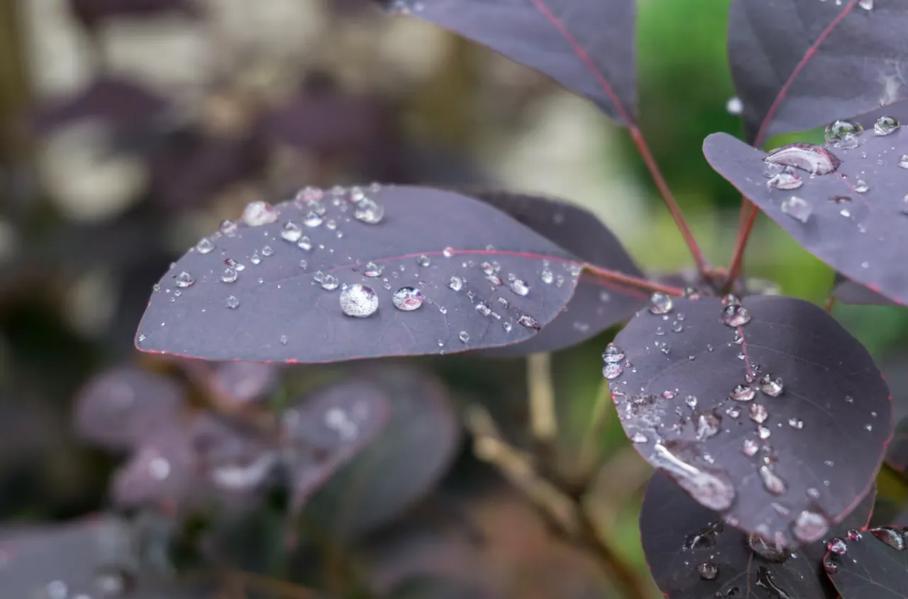 Времето на 23 март 2026 г.