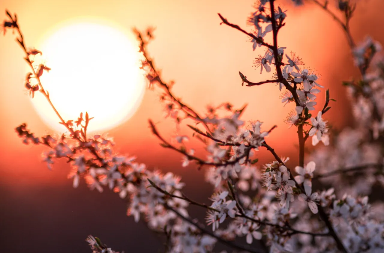 Времето на 23 февруари 2026 г.