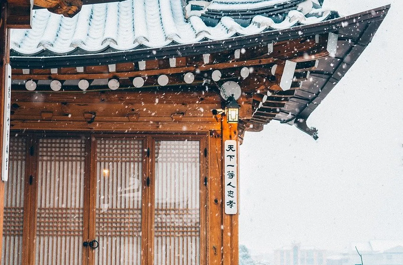 Рекордни снеговалежи парализираха Южна Корея, десетки са без ток, има и загинали