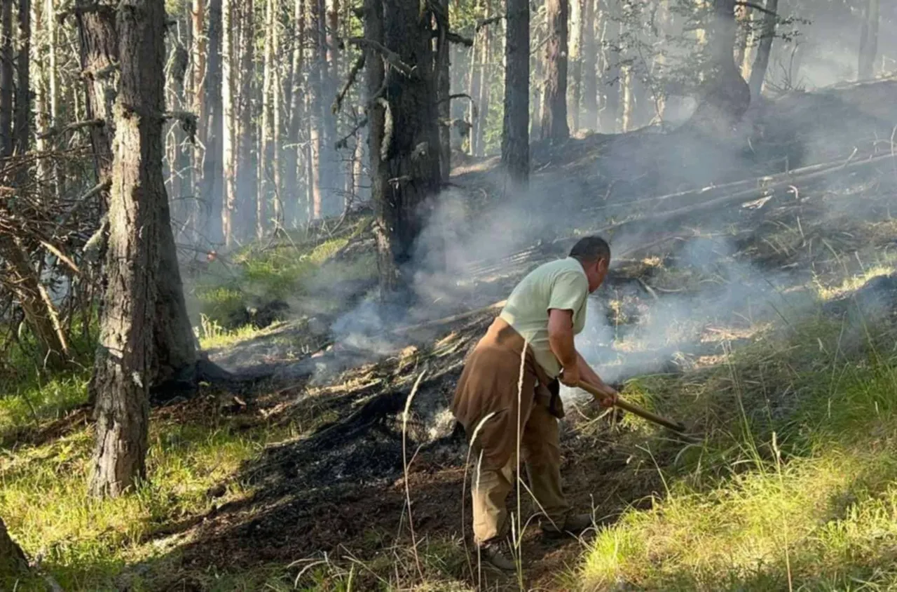 Пожарът в Рила е локализиран
