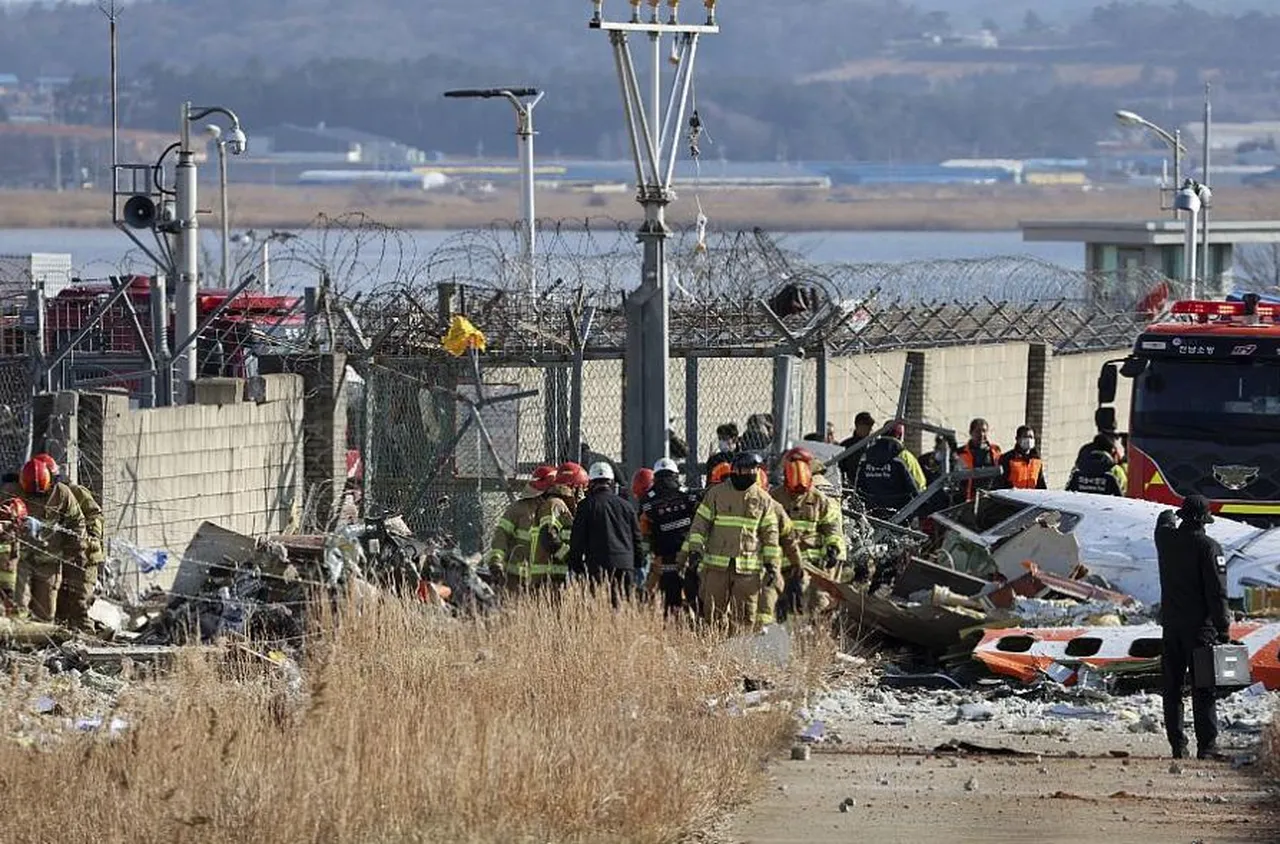 Расте броя на жертвите на самолетната катастрофа в Южна Корея/видео/