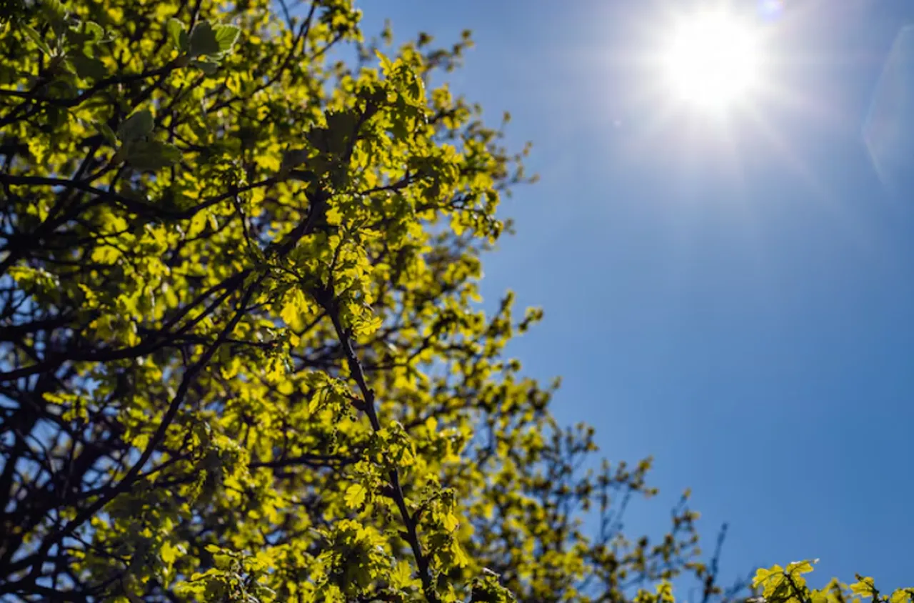 Времето на 14 април 2026 г.