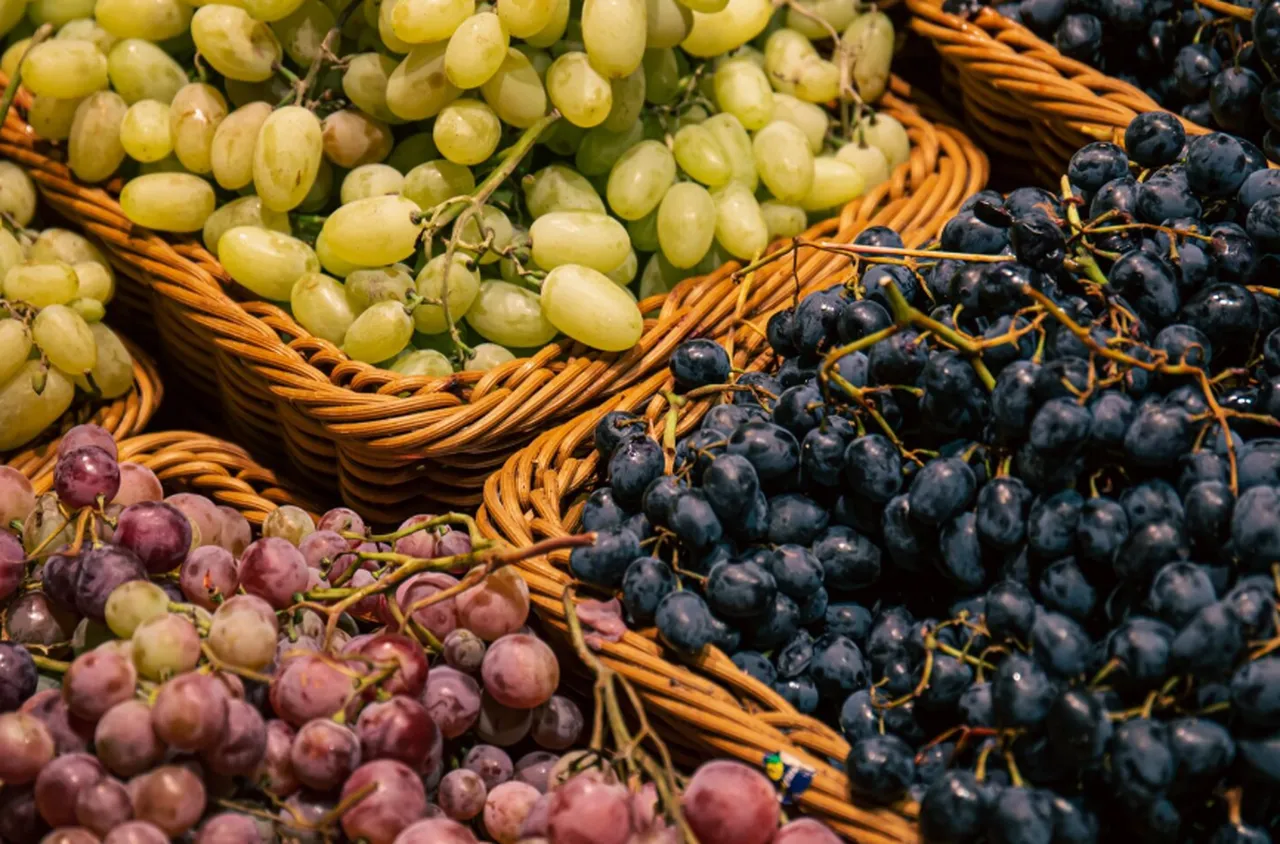 Стана ясно кога започва гроздоберът в община Кресна