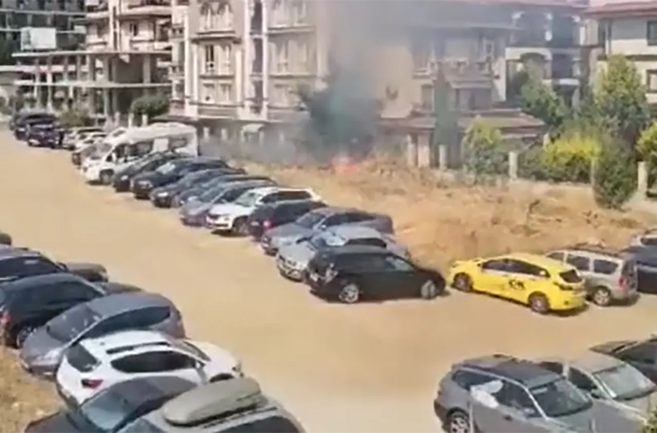 Над 20 коли изгоряха при пожар на паркинг в Свети Влас