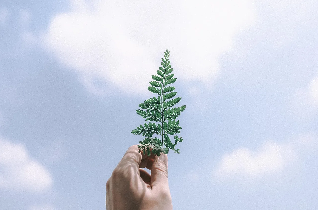 Благодарствено послание към децата от Детска градина "Зора"