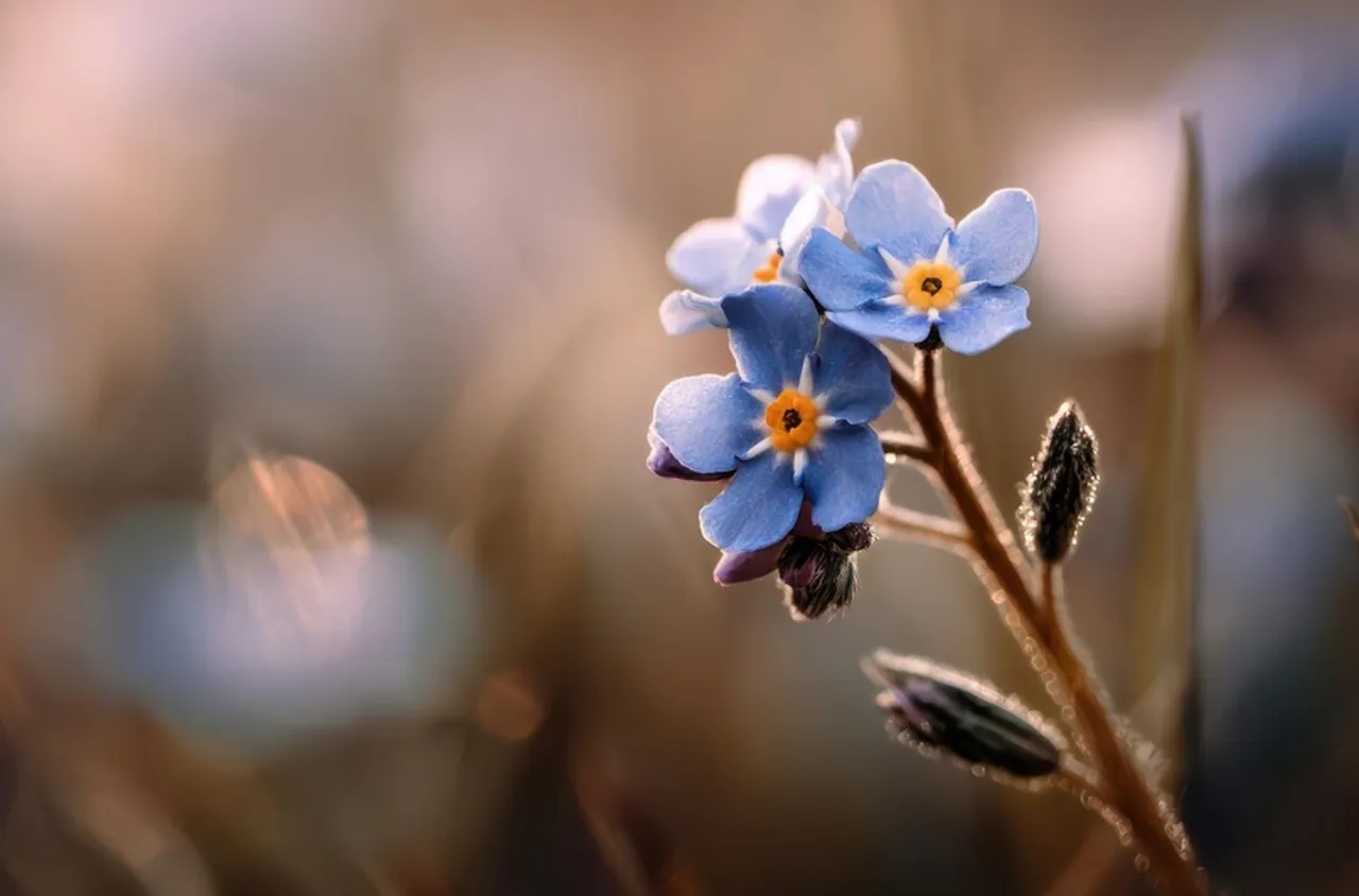 Времето на 13 април 2026 г.