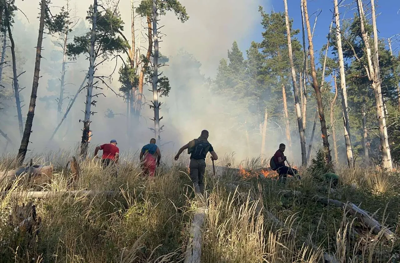 Дъждът помогна за потушаването на пожара в НП "Рила"