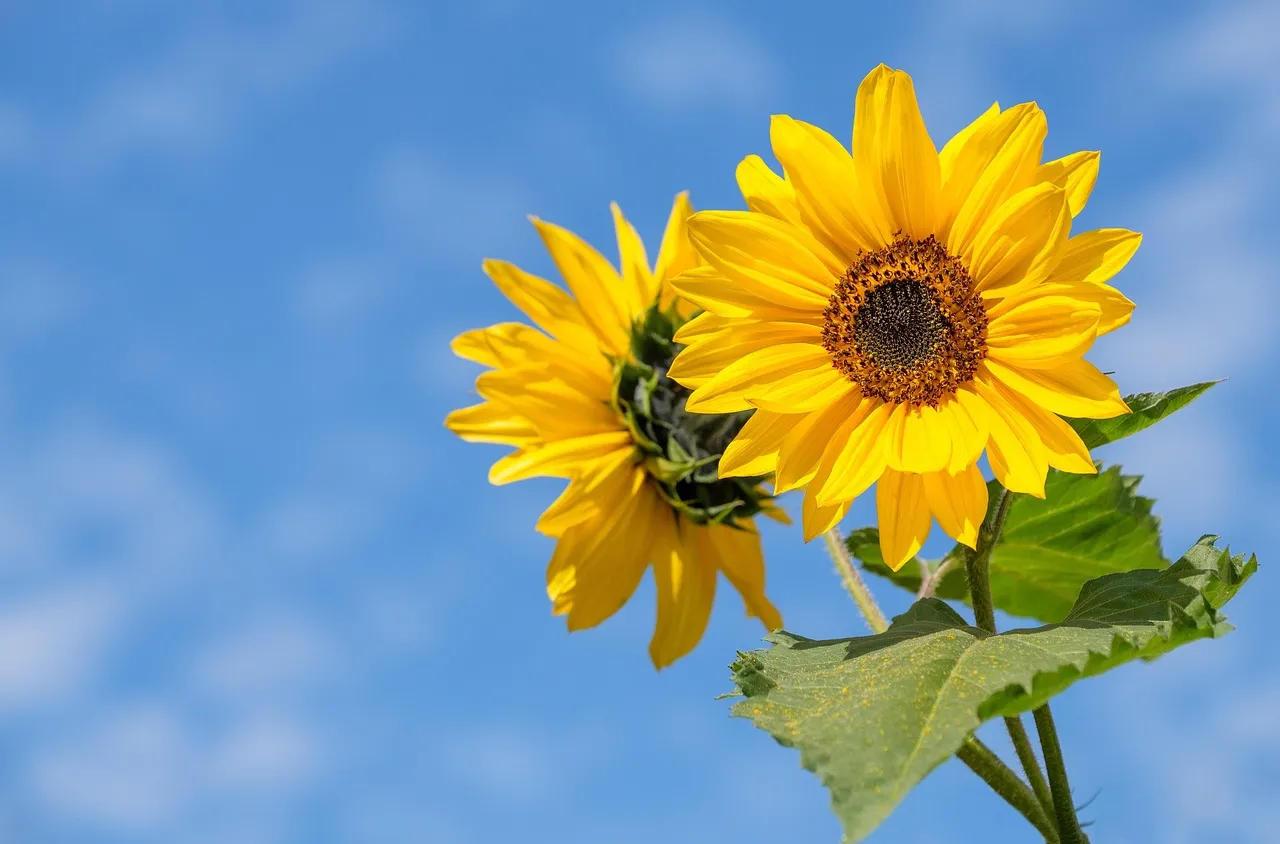 Времето на 14 септември 2025 г.