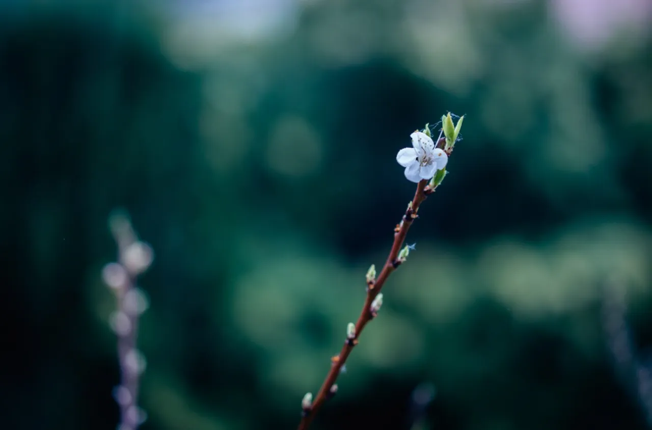 Времето на 3 марти 2026 г.