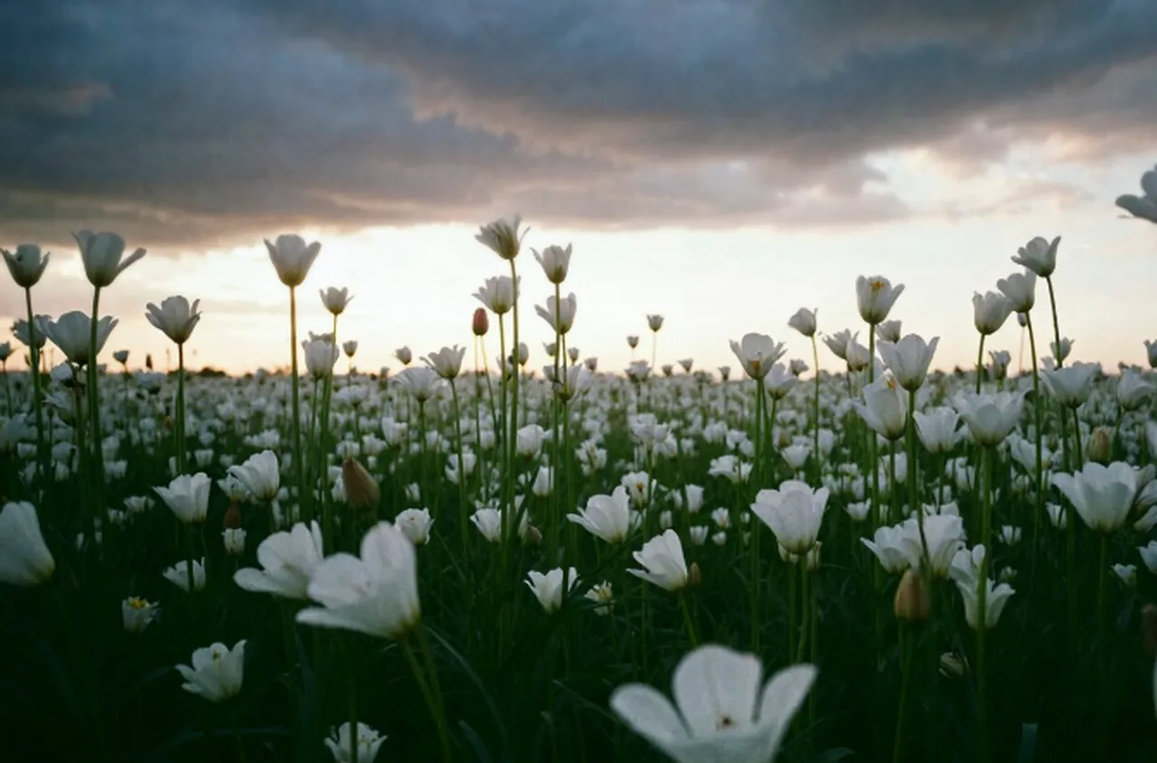 Времето на 27 март 2026 г.