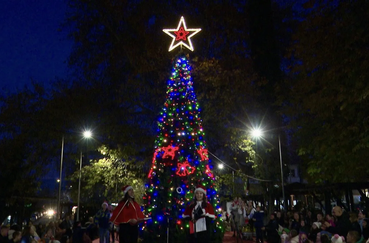 Грейна елхата в кв. "Дълбошница"
