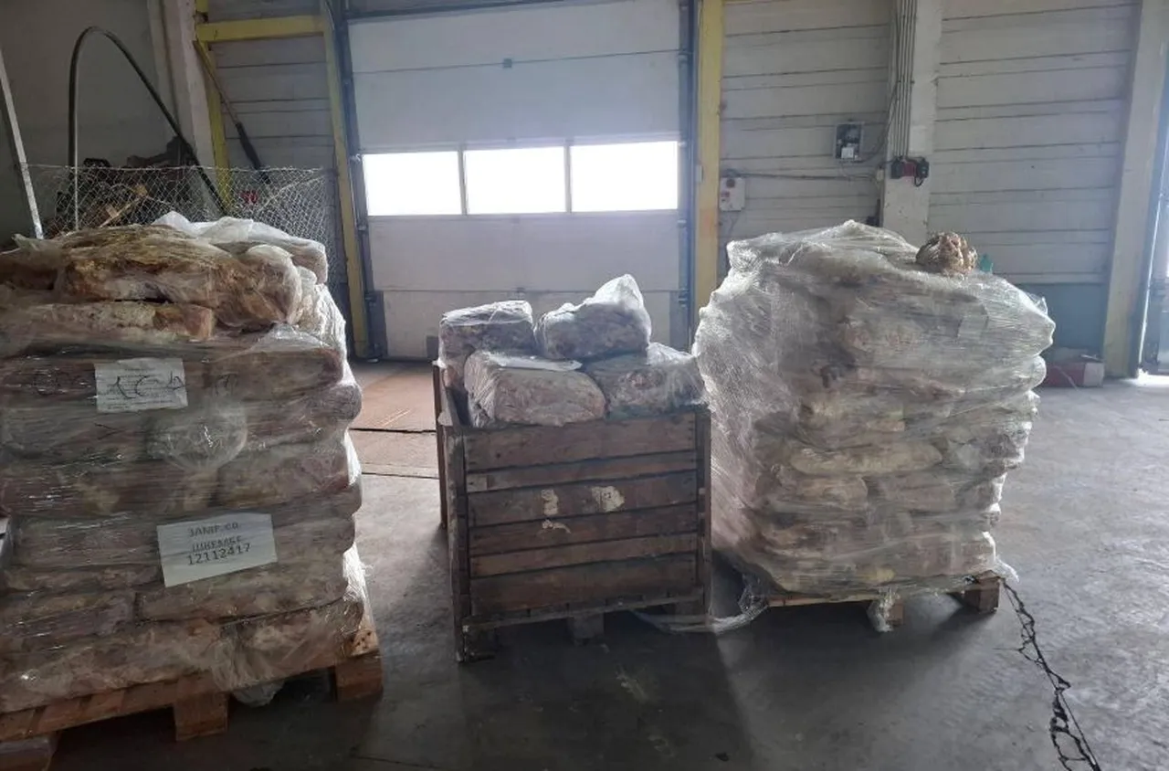 Унищожават близо 6 тона негодни храни в Димитровградско