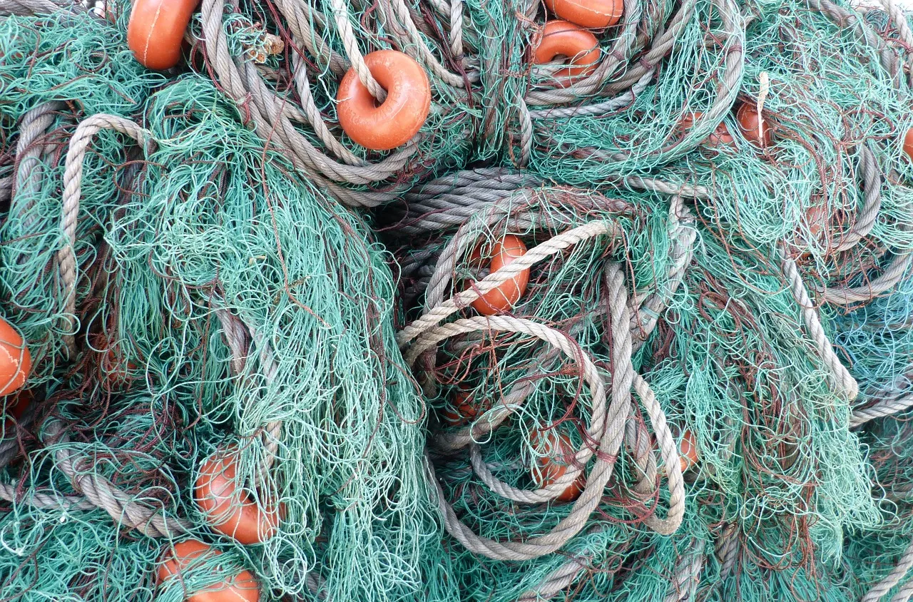 Затоплянето изпразни рибарските мрежи