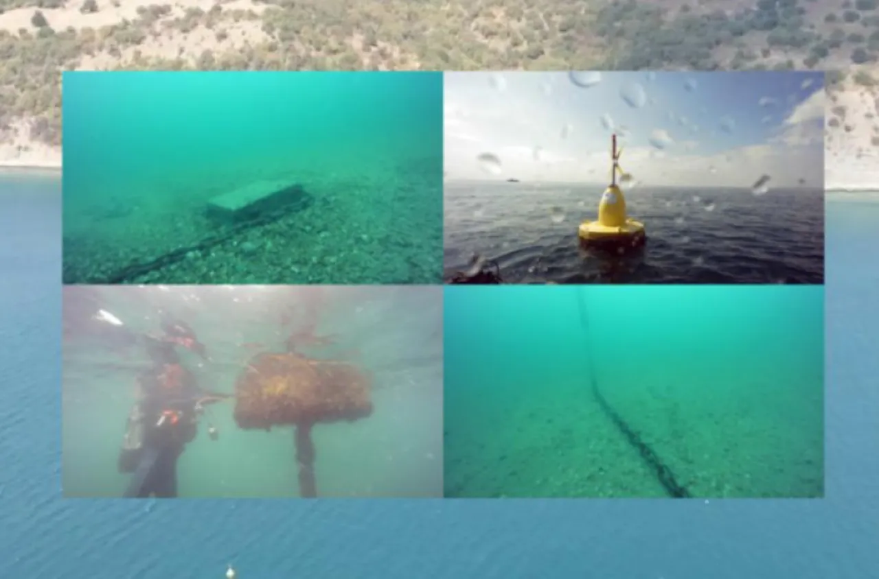 Европрокуратурата разследва предполагаема измама с мидена ферма край нос Емине