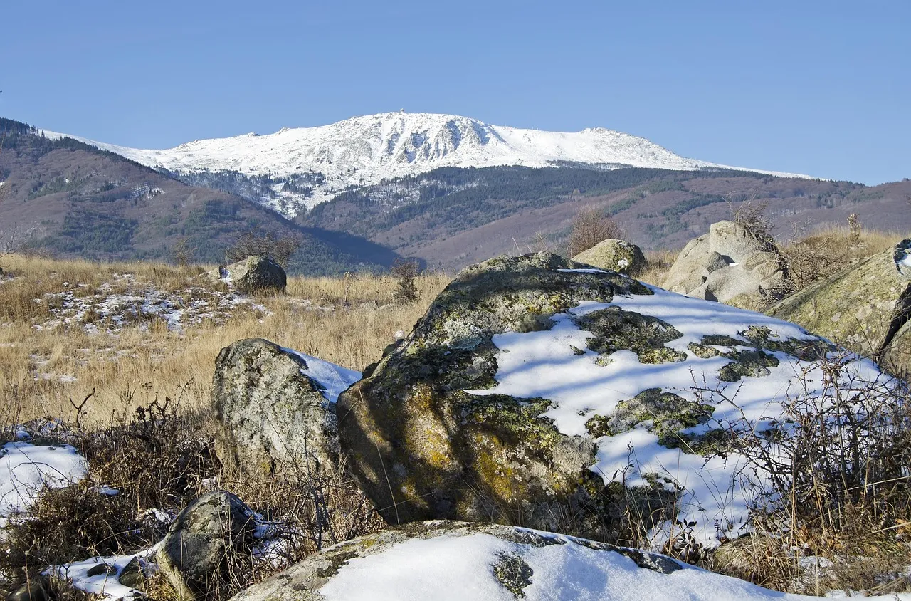 Издирват 85-годишна жена, изчезнала в района на Витоша