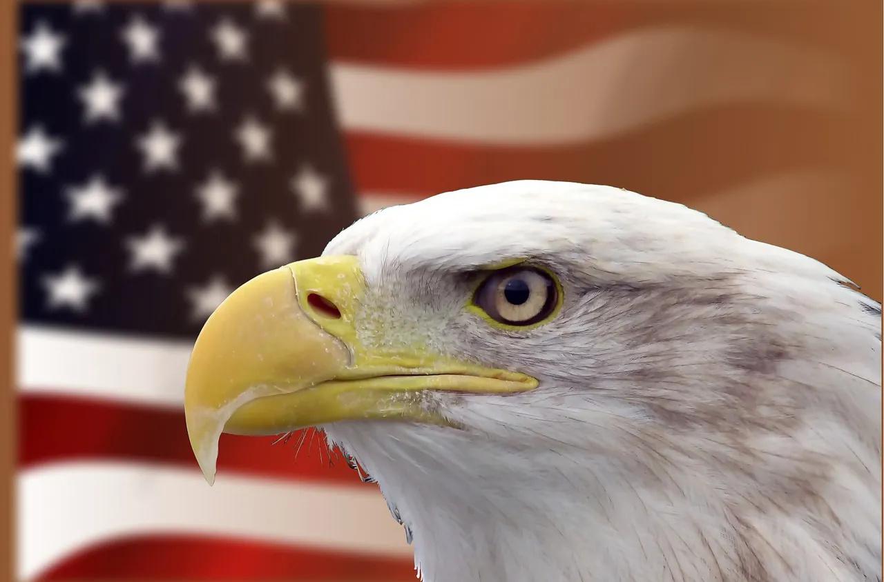 Закон официализира скалният орел като символ на САЩ