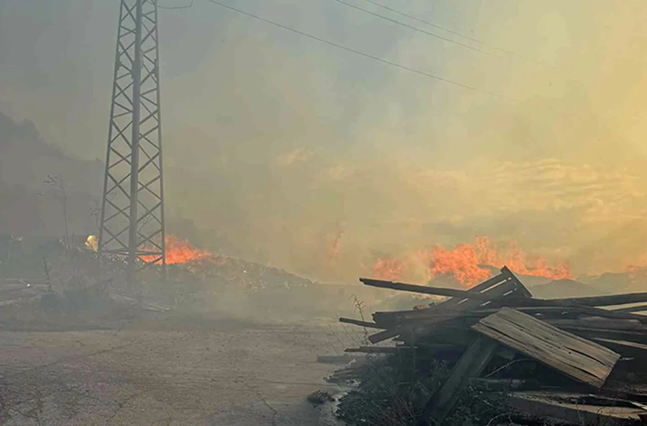 Огромен пожар между Дамяница и Левуново край Сандански