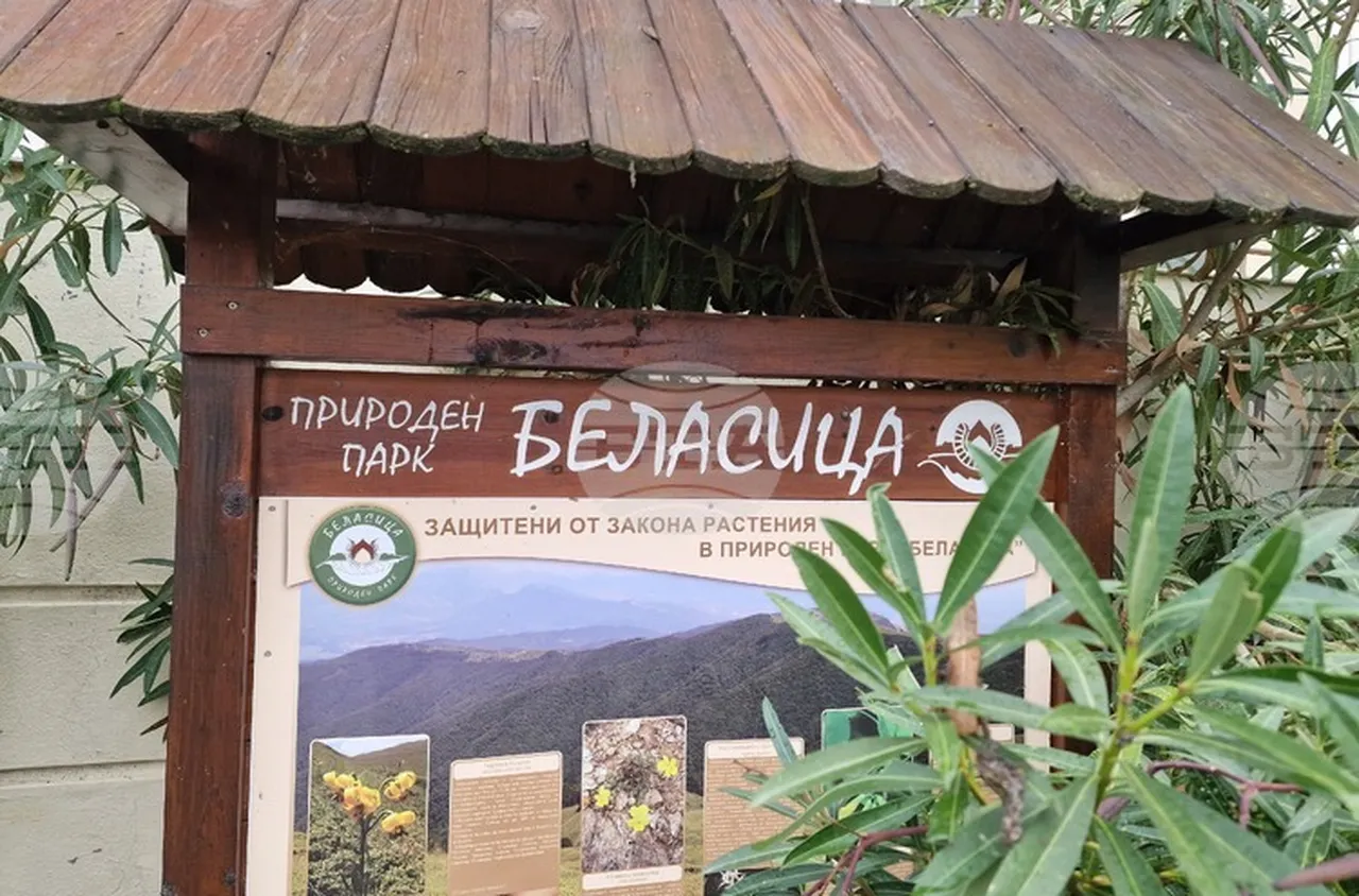 Парк "Беласица" с поредица от инициативи за Седмицата на гората