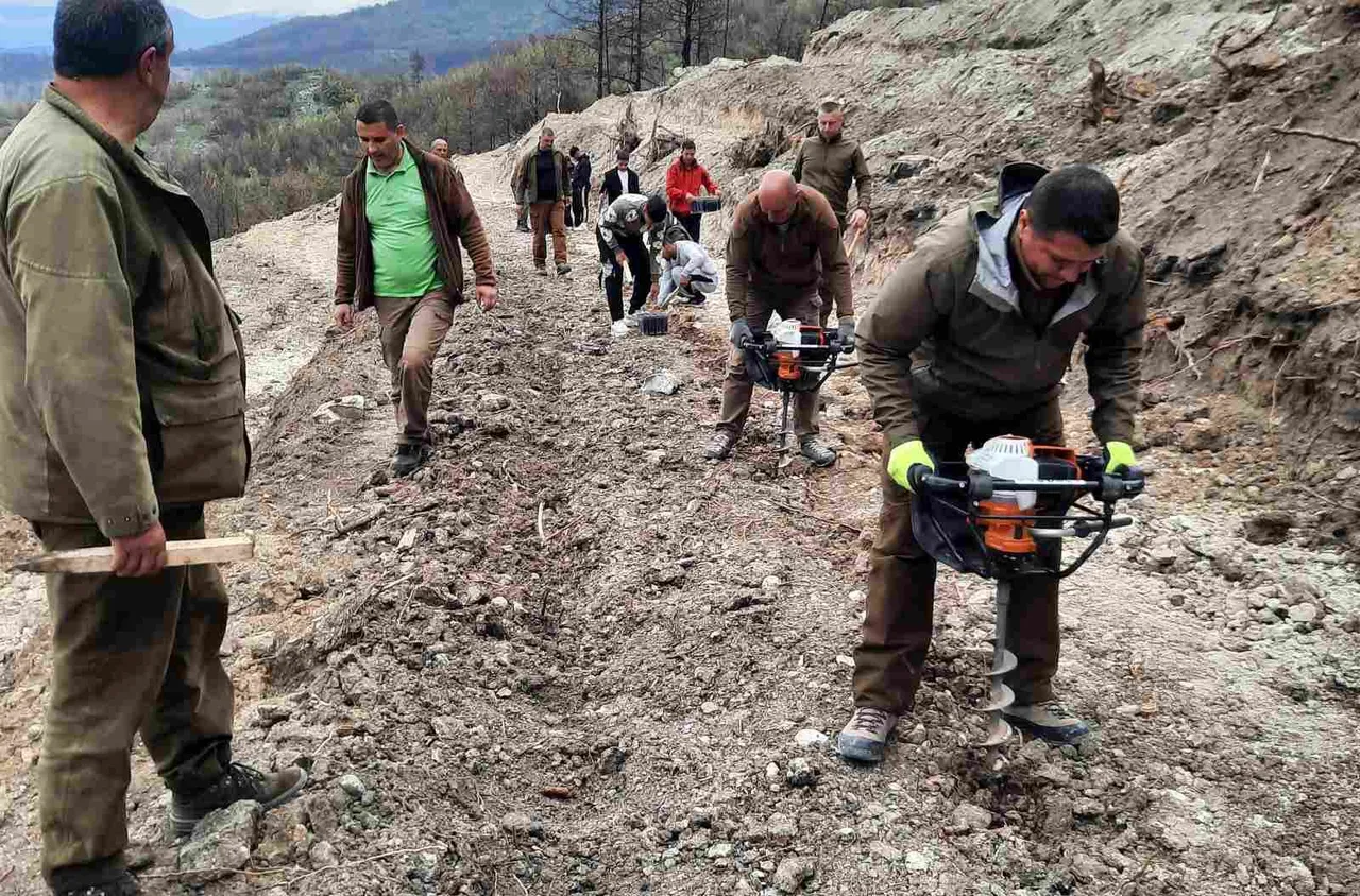 Ученици от Микрево се включиха в залесяване край Илинденци