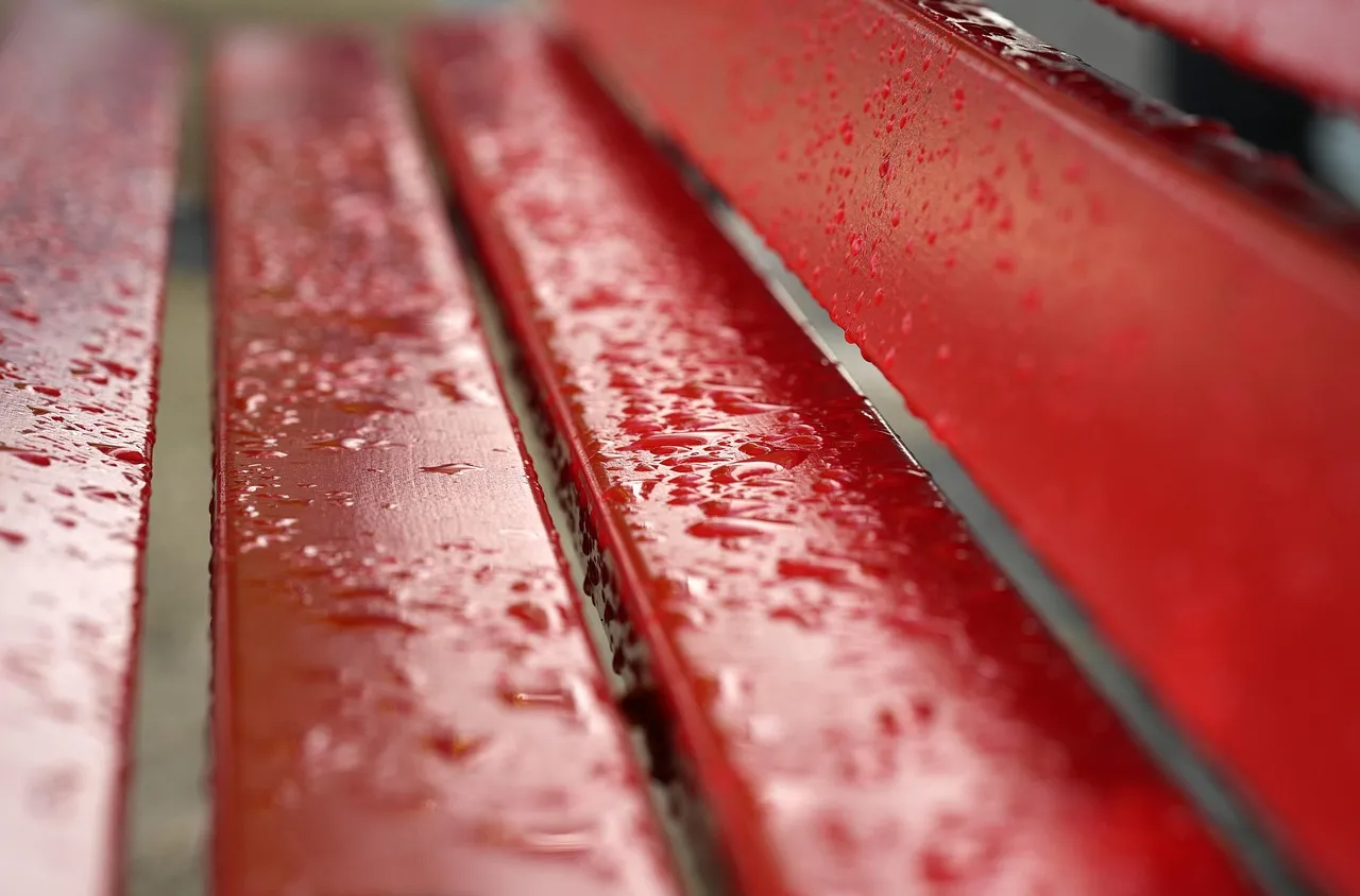 Времето на 24 декември 2025 г.