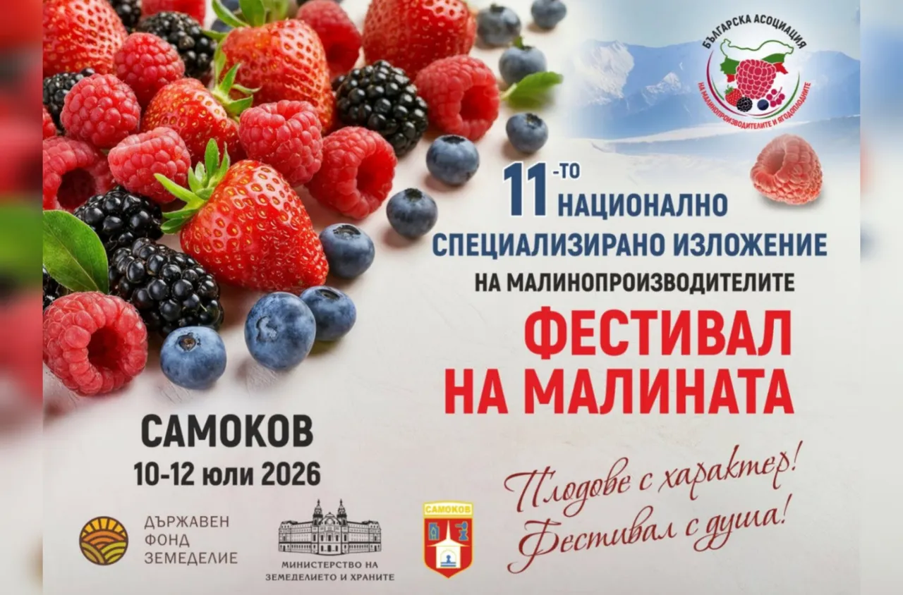 Фестивалът на малината събира производители и гости в Самоков